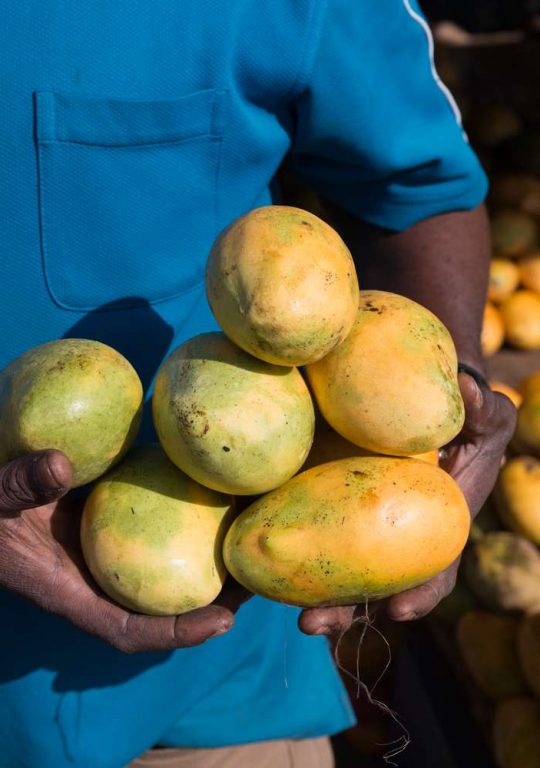 African Mango May Decrease Total Cholesterol Levels